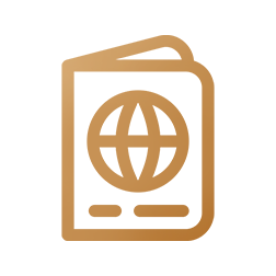 Visa Icon